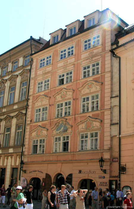 the Peacock Pragues in PRAGUES / Czech Republic 