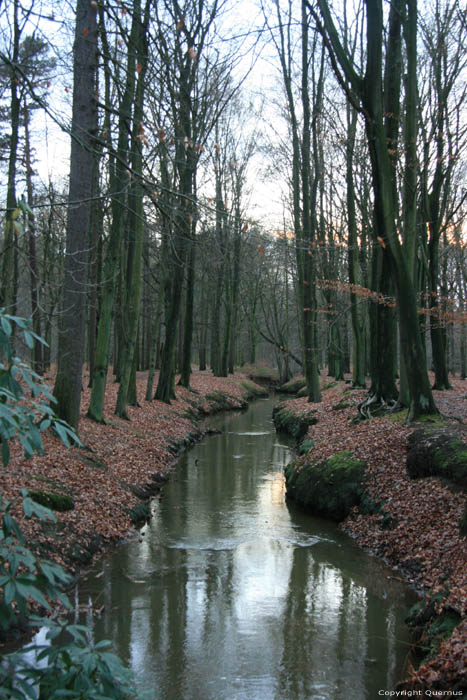 Forest - Town park MERKSEM in ANTWERP / BELGIUM 