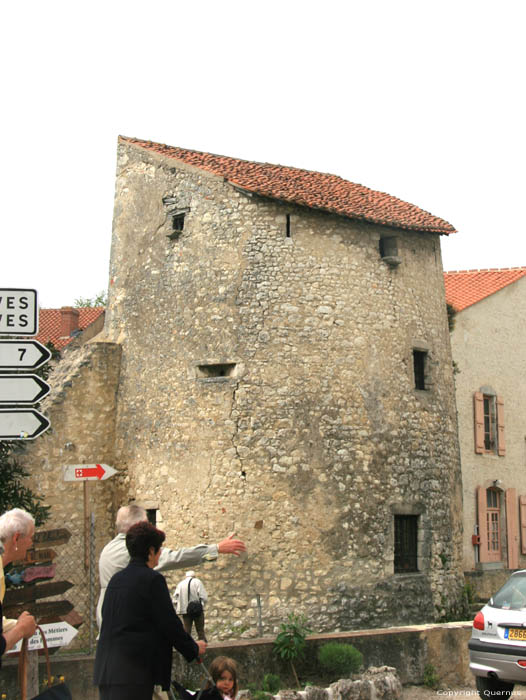 Oude stadsmuur en Gevangenistoren Charroux / FRANKRIJK 