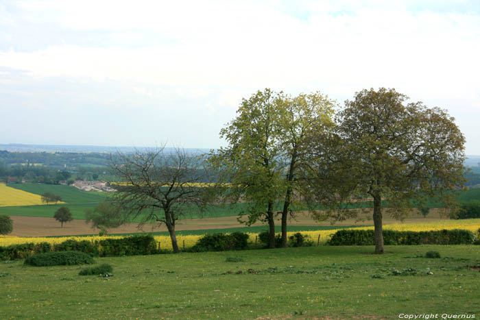 Paysage avec cheval Charroux / FRANCE 