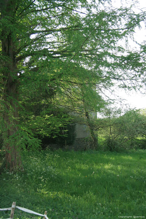 Watermolen Saint-Didier Het Bos in Saint Didier la Fort / FRANKRIJK 