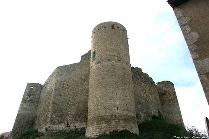 Chteau-fort Billy / FRANCE 