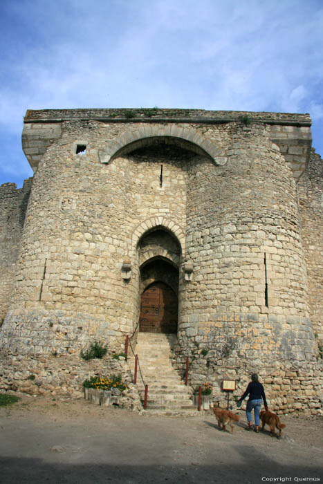 Chteau-fort Billy / FRANCE 