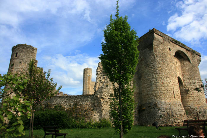 Chteau-fort Billy / FRANCE 