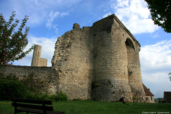 Castle Billy / FRANCE 