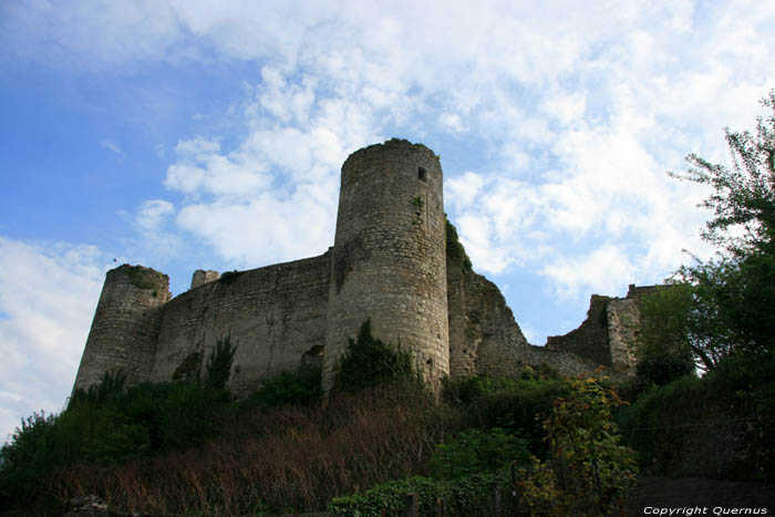 Castle Billy / FRANCE 