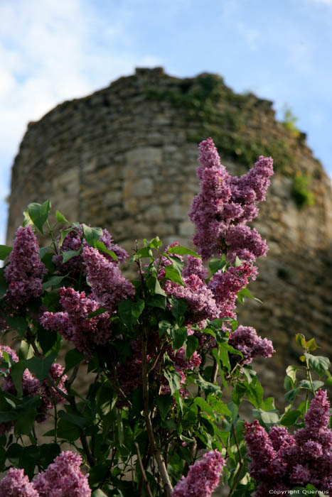 Castle Billy / FRANCE 