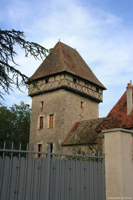 Monk Tower La Fert Hauterive / FRANCE 