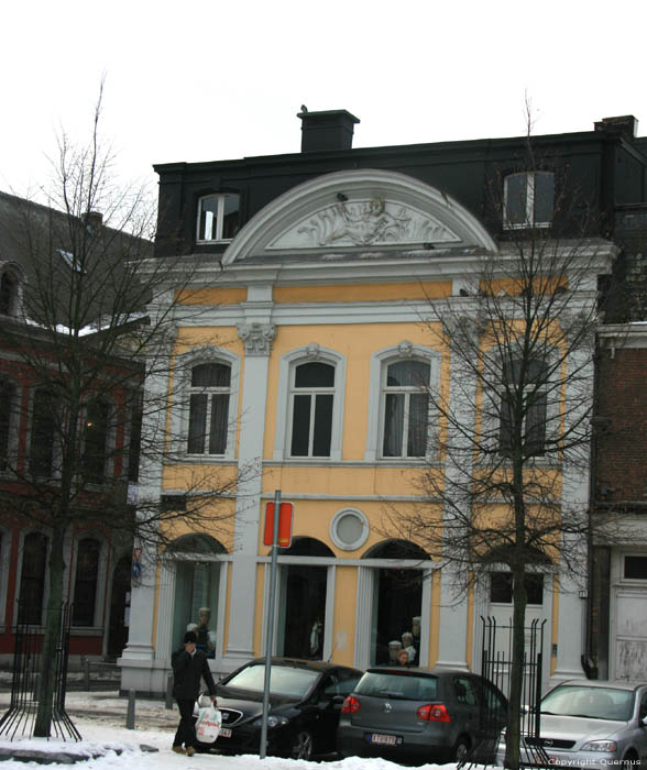 Huis met fronton (en duiven) LIEGE 1 / LUIK foto