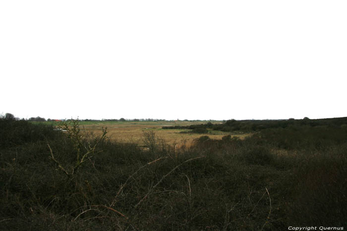 Black Polder Breskens / Netherlands 