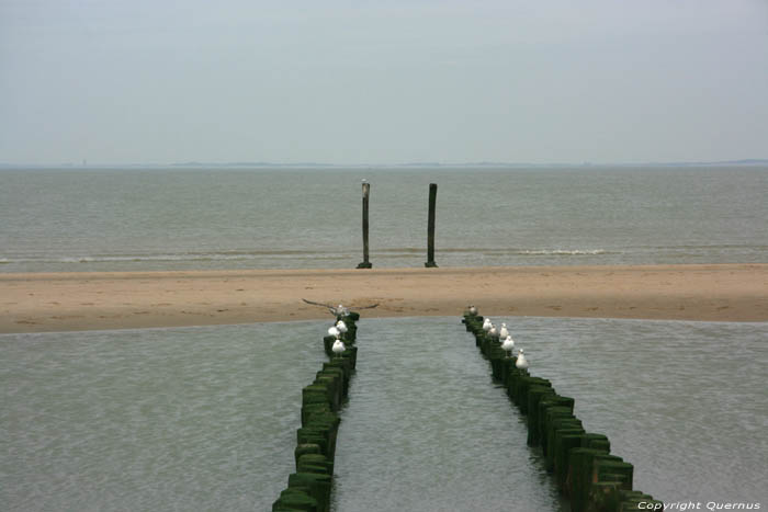 Sea Breskens / Netherlands 