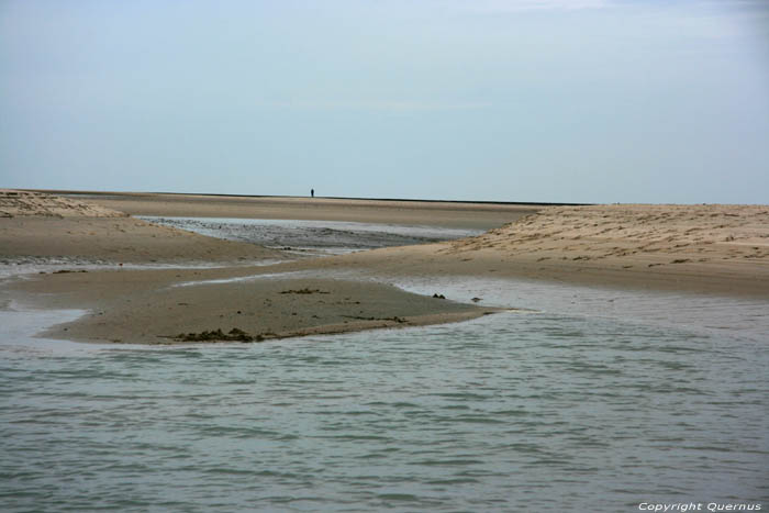 Sea Breskens / Netherlands 