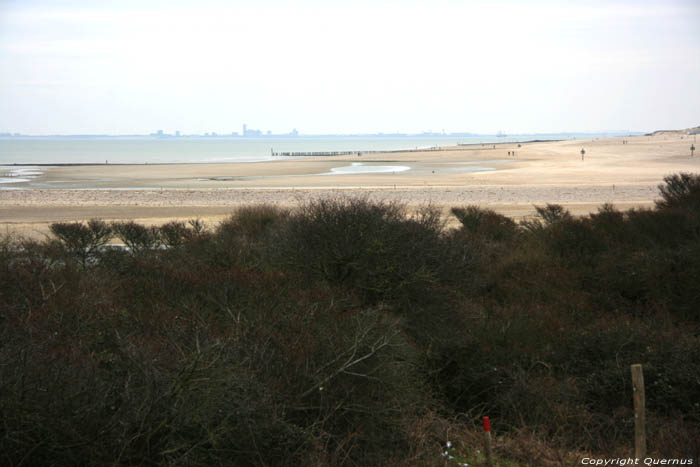 Sea Breskens / Netherlands 