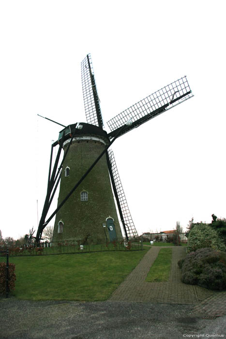 Mill Nieuwvliet in ZEEUWS FLANDERS / Netherlands 