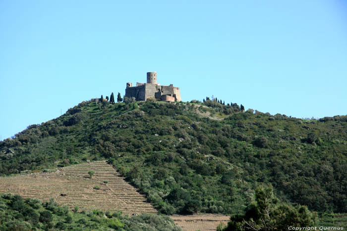 High fort Saint Elme Collioure / FRANCE 