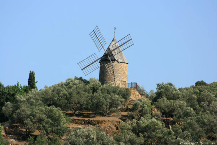 Mill Collioure / FRANCE 