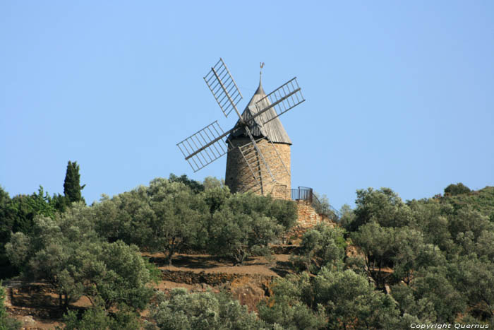 Moulin Collioure / FRANCE 