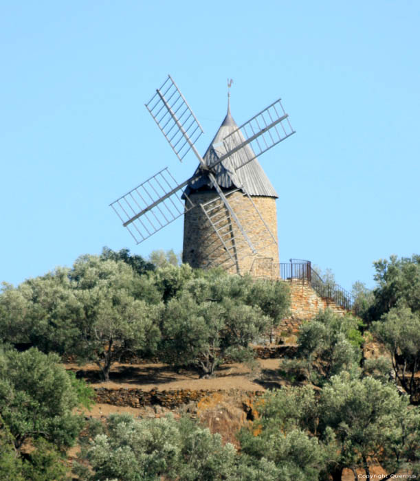 Molen Collioure / FRANKRIJK 