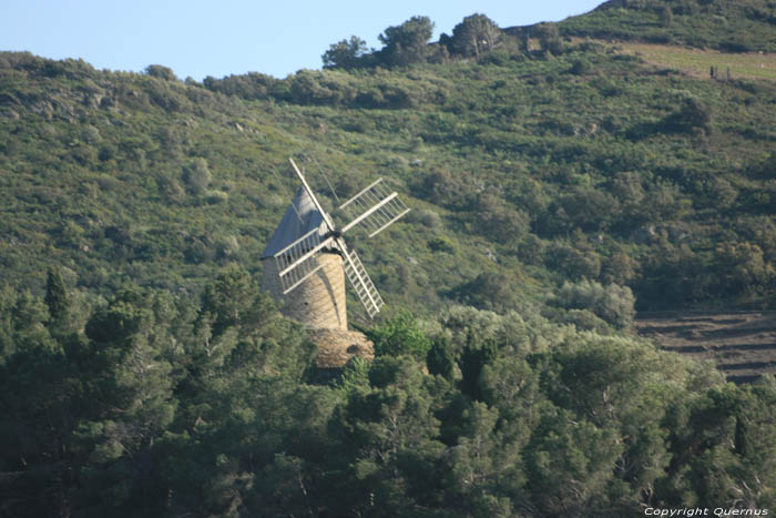 Molen Collioure / FRANKRIJK 