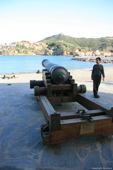 Canon Collioure / FRANCE 