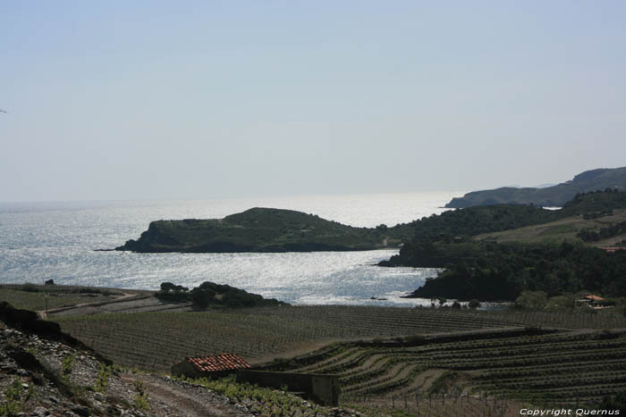 Kustlijn Port Vendres / FRANKRIJK 