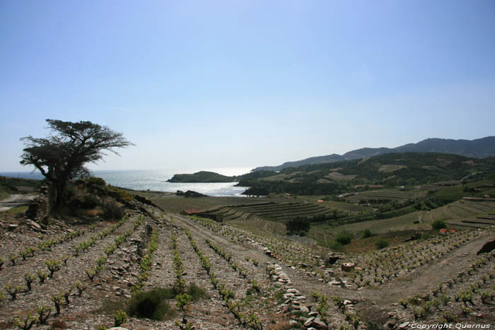 Kustlijn Port Vendres / FRANKRIJK 