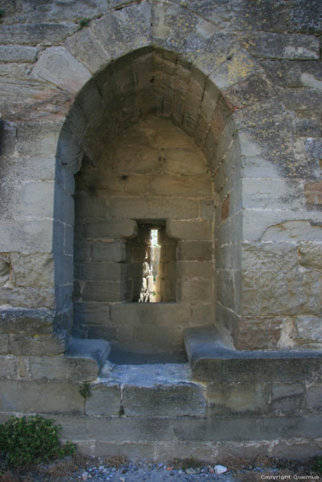 Stadsomwalling Carcassonne / FRANKRIJK 