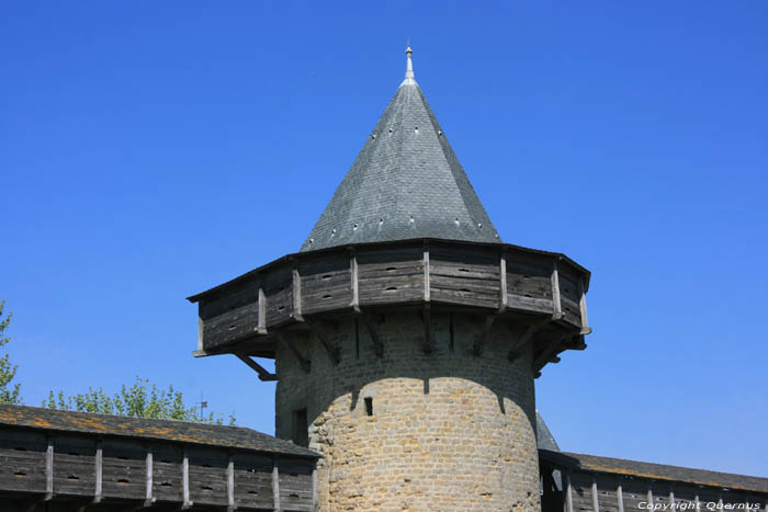 Count's Castle Carcassonne / FRANCE 