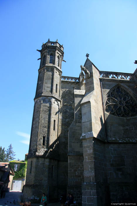 Saint Nazar's basilica Carcassonne / FRANCE 