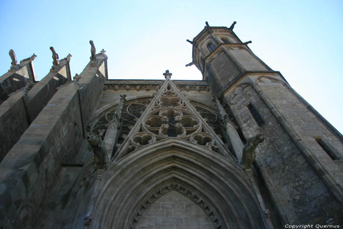 Saint Nazar's basilica Carcassonne / FRANCE 