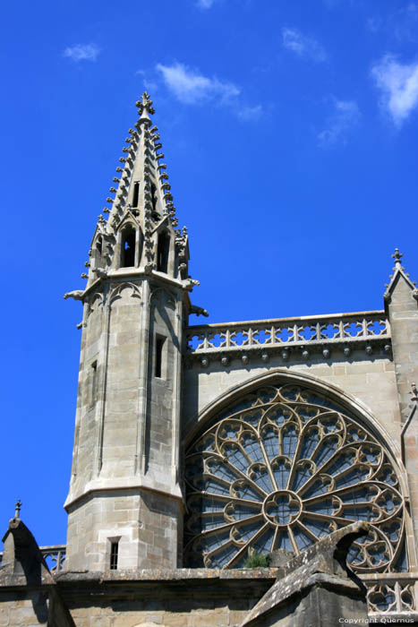 Sint-Nazariusbasiliek Carcassonne / FRANKRIJK 