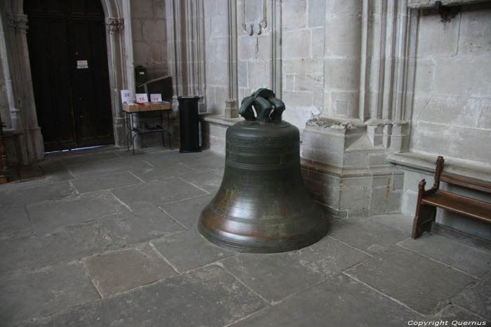 Sint-Nazariusbasiliek Carcassonne / FRANKRIJK 