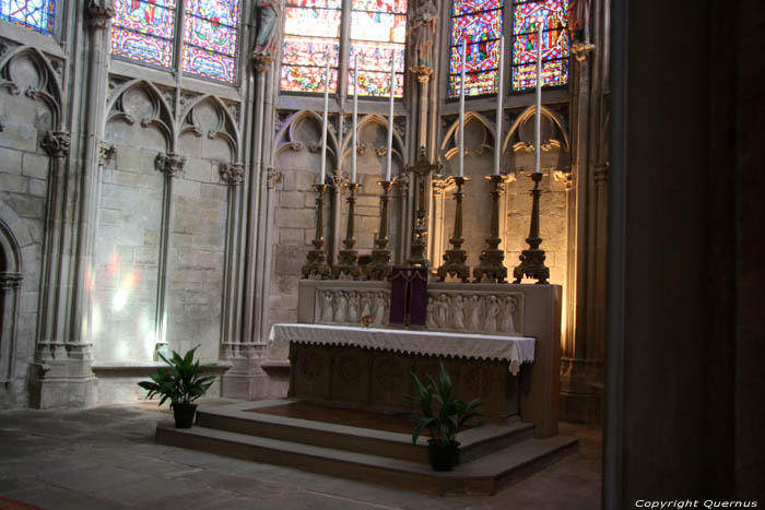 Saint Nazar's basilica Carcassonne / FRANCE 