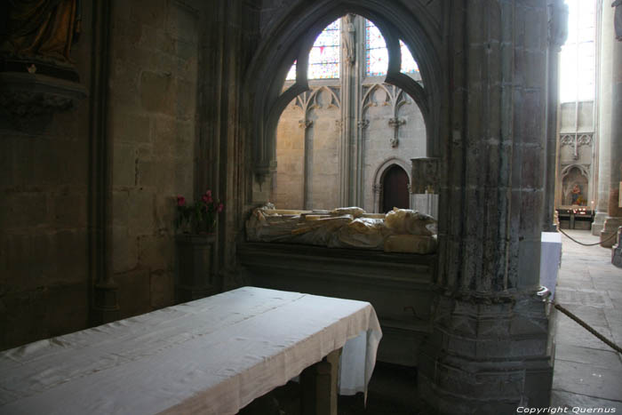 Sint-Nazariusbasiliek Carcassonne / FRANKRIJK 