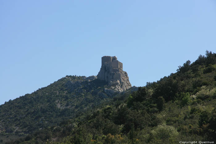 Chteau de Queribus Cucugnan / FRANCE 