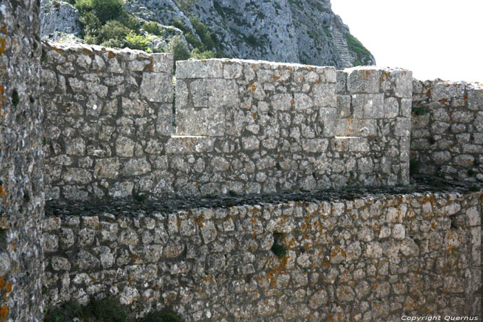 Kasteel van Peyrepertuse Duilhac onder Peyrepertuse / FRANKRIJK 