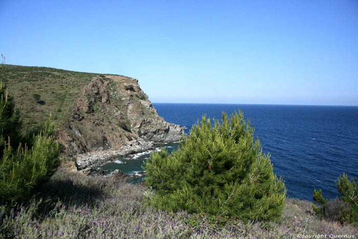 Wild Coast  North of Way Under Sea Cerbre / FRANCE 