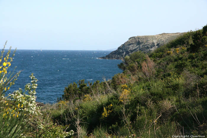 Cte Sauvage Nord du Chemin Sous Marin Cerbre / FRANCE 