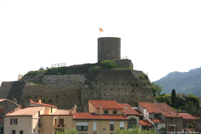 Chteau Laroques Les Albres / FRANCE 