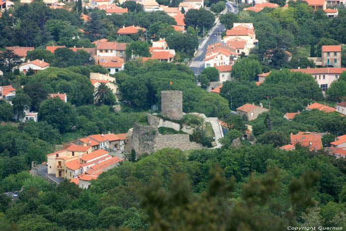 Chteau Laroques Les Albres / FRANCE 