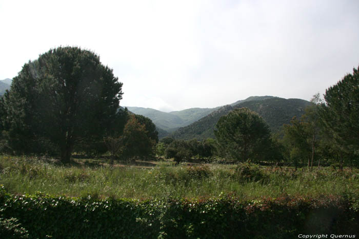 Paysage en vallai Laroques Les Albres / FRANCE 