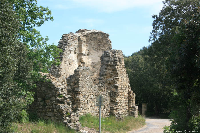 Ruines de la chapelle Saint Fructeux de Roca Vella Laroques Les Albres / FRANCE 