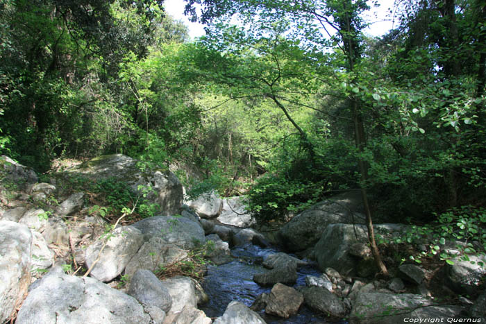 Ruisseau Laroques Les Albres / FRANCE 