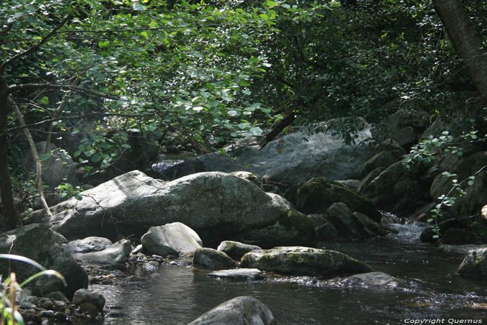 Small river Laroques Les Albres / FRANCE 