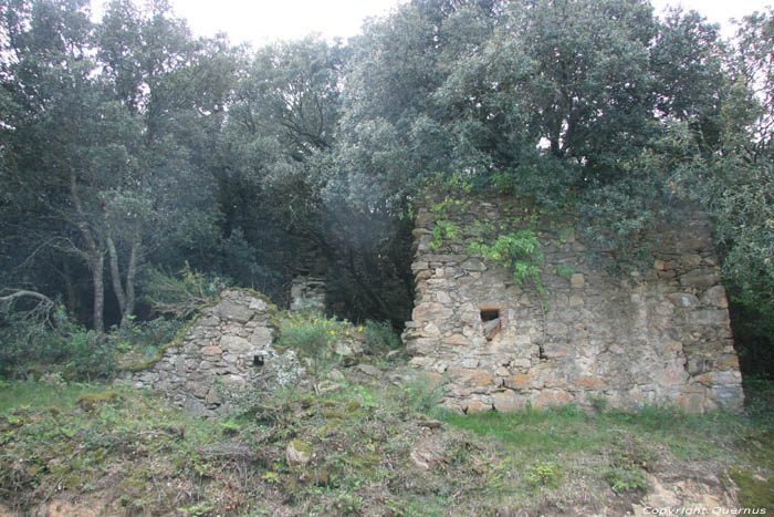 Ruines d'une maison Laroques Les Albres / FRANCE 