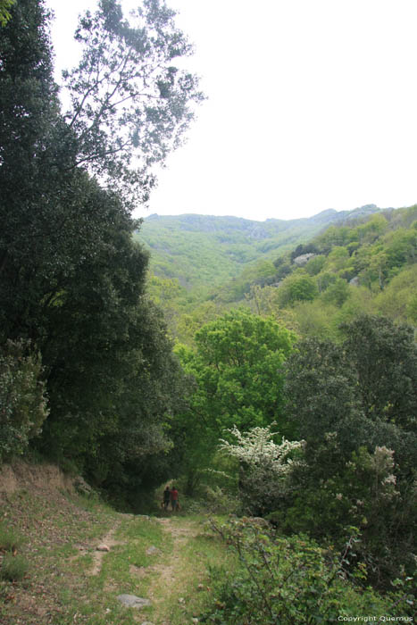 Chemin de promenade Laroques Les Albres / FRANCE 