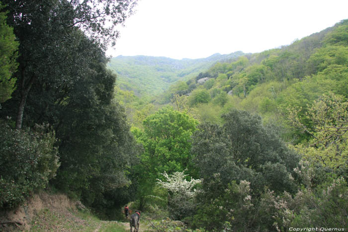 Chemin de promenade Laroques Les Albres / FRANCE 