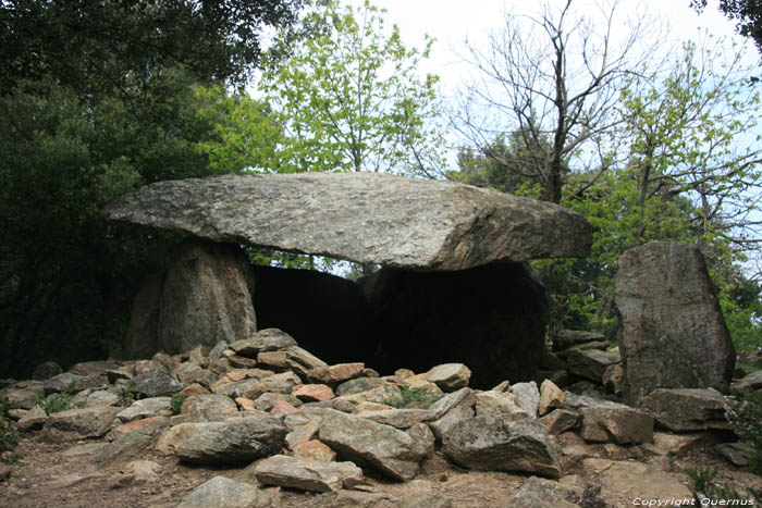 Dolmen van Balma Del Moro Laroques Les Albres / FRANKRIJK 