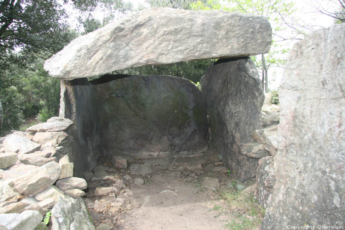 Dolmen van Balma Del Moro Laroques Les Albres / FRANKRIJK 