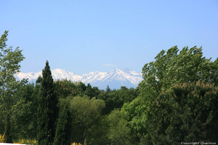 The Canigou Ille sur Tt / FRANCE 